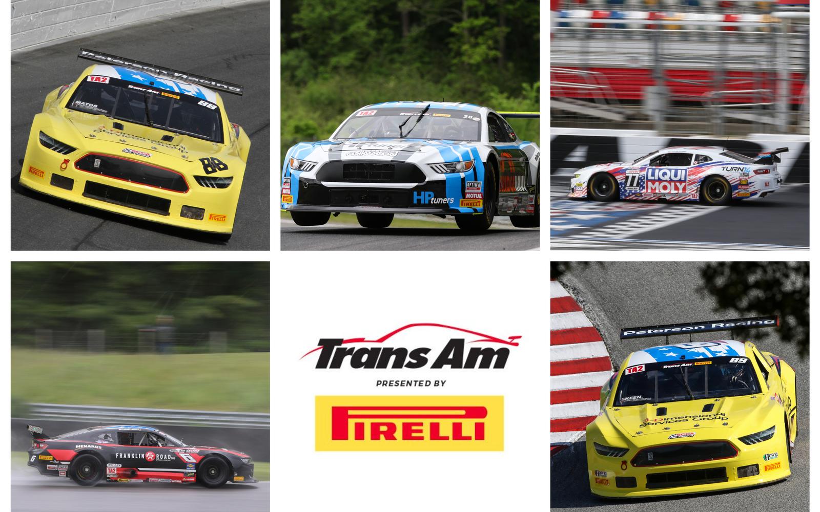 Crossed Flags: TA2 Halfway Points Update